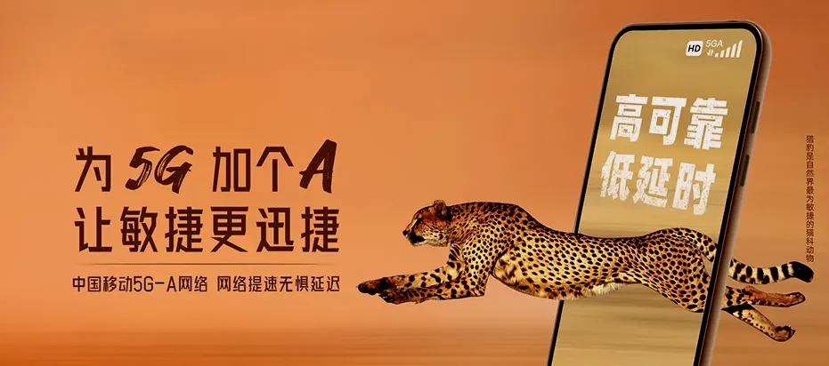 思明区思明区开元街道 移动宽带